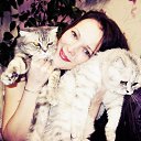  ,  , 37  -  16  2014    