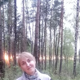 ���� �������, ����� - ��������� 5 ���� 2014