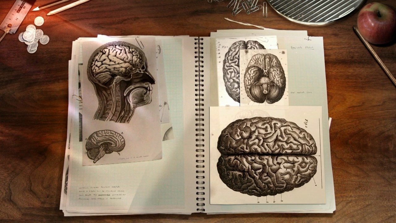 После 20 мозг. Творческий мозг. Creative Brain. The Creative Brain movie.