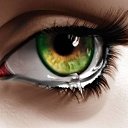 ���� ���, ���������, 40 ��� - ��������� 30 ����� 2014