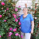  , , 68  -  22  2014    2014