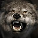 ���� ����, ���� - ��������� 13 ������ 2014 � ������ ���� ����������