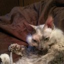 ���� �����, ������������, 44 ���� - ��������� 9 ���� 2014 � ������ ������ ��������