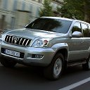���� ������, ������������, 36 ��� - ��������� 29 ��� 2014 � ������ ������ �������� ���λ