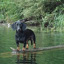 ���� ����, �����-���������, 41 ��� - ��������� 6 ���� 2014 � ������ ���� ����������