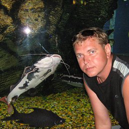 ������, 49 ���, �������