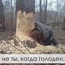 ���� ���, ������, 50 ��� - ��������� 18 ����� 2014 � ������ ������ ��������