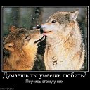 ���� �����, ����������� - ��������� 20 ����� 2014 � ������ ������ ��������