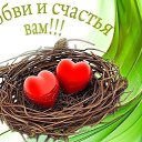 ���� ������, �������� - ��������� 8 ������� 2014 � ������ ������ ��������