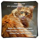 ���� �������, ������, 51 ��� - ��������� 27 ���� 2014 � ������ ������ ��������
