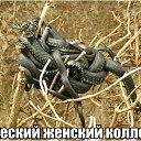 ���� ���, ���������, 41 ��� - ��������� 12 ������ 2014 � ������ ������ �������