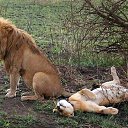 ���� ������, �����-���������, 62 ���� - ��������� 24 ������ 2014 � ������ ������ ��������