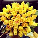 ���� Inga, ���� - ��������� 27 ����� 2014 � ������ ���� ����������