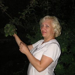 �����, ���, 54 ����