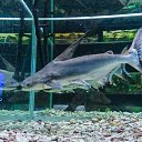  , , 46  -  24  2014      &quot; &quot;