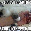 ���� ��������, ������������ - ��������� 5 ������� 2014 � ������ ������ ��������