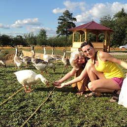 ��������, ��������, 61 ���