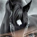  , -, 62  -  31  2014   