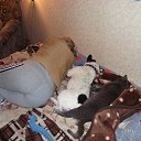 ���� �������, �������, 67 ��� - ��������� 9 ���� 2014 � ������ ���� ����������