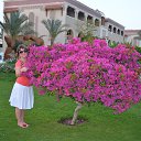 ���� Valyha, ����� - ��������� 1 ������ 2014 � ������ ���� ����������