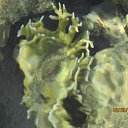 ���� ����������, ������, 58 ��� - ��������� 29 ���� 2014 � ������ ���