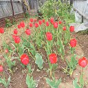 ���� �������, ���������, 52 ���� - ��������� 27 ������ 2014 � ������ ���� ����������