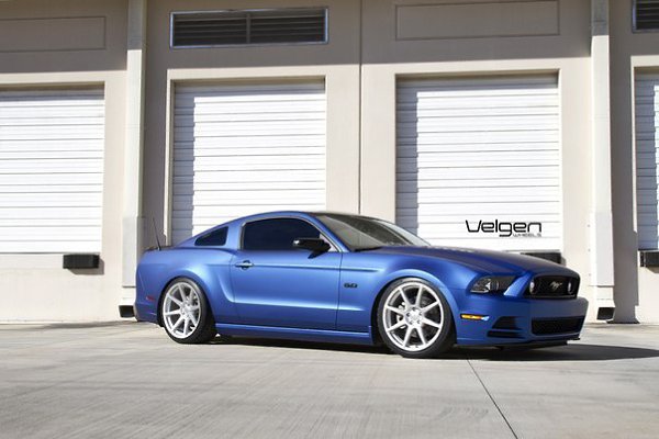 Matte Blue Ford Mustang 5.0 - 2