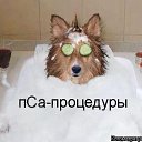 ���� ���, �������� - ��������� 16 ���� 2014 � ������ ������ ��������