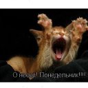  , , 61  -  9  2014      )))