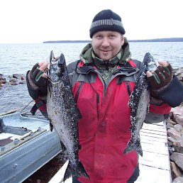 ���� ������, �����-���������, 48 ��� - ��������� 29 ��� 2014