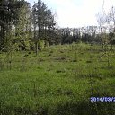 ���� ������, ���� - ��������� 24 ���� 2014 � ������ ���� ����������