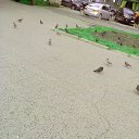 ���� �����, ������� - ��������� 23 ���� 2014 � ������ �23.06.2014�