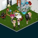  ,  -  16  2014   Tropikania