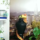 ���� ���������, �����������, 33 ���� - ��������� 7 ���� 2014 � ������ ������ ��������