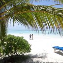 ���� ������, ����, 38 ��� - ��������� 21 ������� 2014 � ������ ������� 2014�