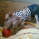 ,   ...    &quot;8 &quot;