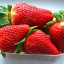 ���� ����������, ������� ��������, 63 ���� - ��������� 7 ���� 2014 � ������ ����� ����