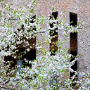 ���� �����, �����, 64 ���� - ��������� 24 ������ 2014 � ������ ������ � �����!�