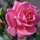  Nataliya__,  -  11  2014    