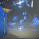 ���� ���������, �����������, 33 ���� - ��������� 23 ��� 2014 � ������ ���� ����������