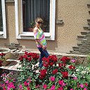 ���� �����, ������, 43 ���� - ��������� 21 ���� 2014 � ������ ���� ����������