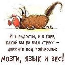 ���� �����, ������������, 43 ���� - ��������� 7 ��� 2014 � ������ ������ ��������