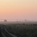 ���� �����, ������ - ��������� 5 ������� 2014 � ������ ��������. ��� ������.�