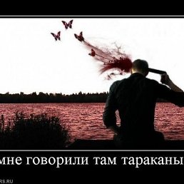 ���� ���������, �������������, 43 ���� - ��������� 17 ���� 2014