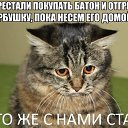 ���� ������, �����������, 41 ��� - ��������� 12 ���� 2014 � ������ ������ ��������