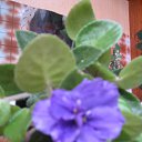 ���� �����, ������ �������� - ��������� 22 ����� 2014 � ������ �������