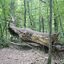 ���� Igor, �����������, 46 ��� - ��������� 7 ������� 2014 � ������ ���� ����������