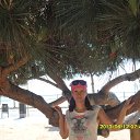 ���� �������, ���������, 51 ��� - ��������� 20 ��� 2014