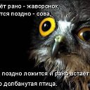 ���� ����, �������, 55 ��� - ��������� 30 ������ 2014 � ������ ���� ���� ������