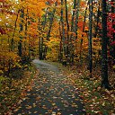 ���� �, �������, 56 ��� - ��������� 3 ������ 2014 � ������ ���� ����������